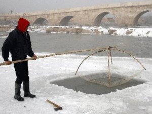 Buz tutan Kızılırmak'ta Eskimo usulü balık avlıyorlar