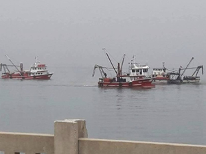 Cideli çevreciler, kum midyesi avcılığına tepki gösterdi