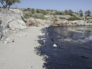 Salamina Adası'nda çevre felaketi yaşanıyor