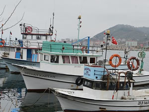 Batı Karadeniz'de balıkçıların umudu tükendi