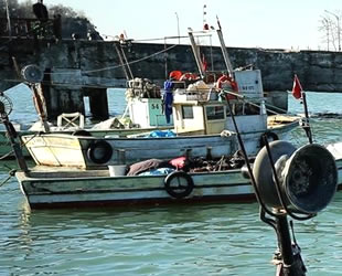 Balıklar rotasını Doğu Karadeniz'e çevirdi