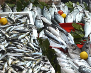 Karadeniz'deki fırtına balık fiyatlarını ikiye katladı