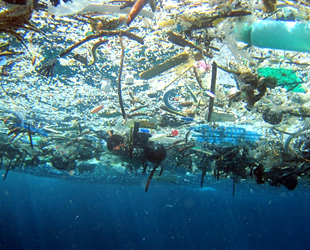 2050 yılında okyanuslarda balıktan çok plastik olacak