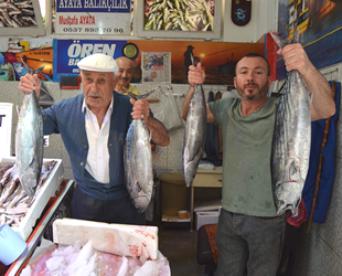 Trabzon’da torikler tezgâhları süslemeye başladı