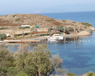 Bodrum'da antik limana inşa edilen iskele karara rağmen yıkılmıyor