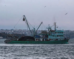 İstanbul Boğazı ve Marmara Denizi'nde yasadışı trol avcılığı yapanlara ceza yağdı