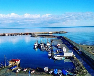 Türkeli Limanı, balık sezonunu erken kapattı