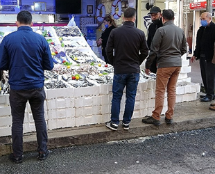 Ordu'da balıkçı tezgahları şenlendi, vatandaşlar balık sırasına girdi