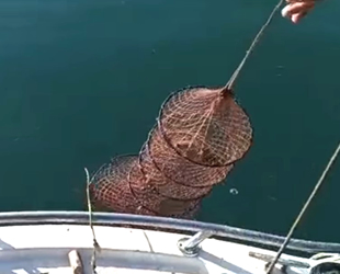 Eğirdir Gölü'nde kaçak avcıların 'ağ kozası' oyunu şaşırttı