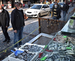 Batı Karadeniz'de balık tezgahlarında yoğunluk yaşanıyor