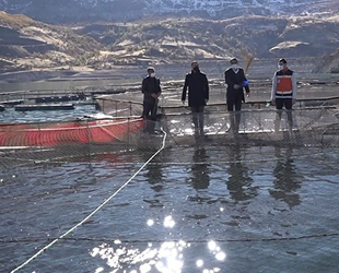 Bingöl balık üretimine geçti, ilk hasat 110 ton oldu