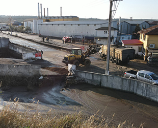 Ayvalık’ta çevre katliamı! Tonlarca atık plaja, dereye ve yola aktı!