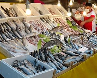 Mehmet Gökoğlu: Çiftlik balığında plastik birikimi daha az