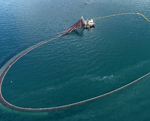 Karadeniz’de balıklar tersine göçe başladı