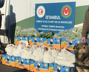 Ambarlı Limanı'nda muz yüklü gemide 88 kilogram kokain ele geçirildi