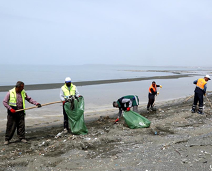 Van Gölü sahilinde temizlik çalışması yapıldı