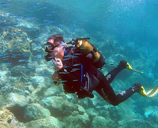 Saros'un akvaryumu dalış turizminin ilgi odağı oldu