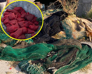 Menekşe Plajı’nda 2 ton midye ve 1 adet trol ağına el konuldu