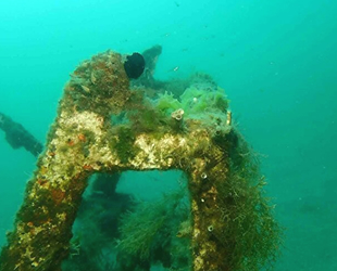 Mersin’de deniz dibi çalışmaları müsilaj tehlikesini ortaya çıkardı