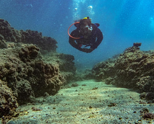 Mersin kıyılarındaki su altı kanyonları dalış tutkunlarını ağırlıyor