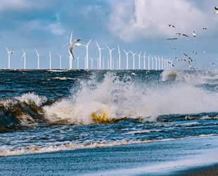 Hollanda’da deniz seviyesi yükseliyor, ülke sular altında kalabilir