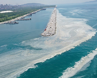 Marmara Denizi’nin kabusu müsilajın nedeni belli oldu