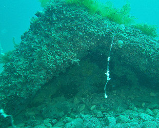 Doğal liman, Sinop'un su altı mirası dalış turizmine kazandırılacak