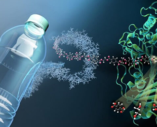 Pandemide plastik atık farkındalığı arttı