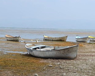 Türkiye’nin ilk iklim davası, Marmara Gölü için açıldı