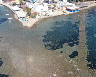 Bodrum'da deniz çekildi, surlar ortaya çıktı