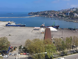 Ukrayna-Rusya savaşı, Zonguldak Limanı'ndaki ticareti de etkiledi