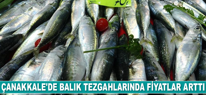 Çanakkale'de balık tezgahlarında fiyatlar arttı