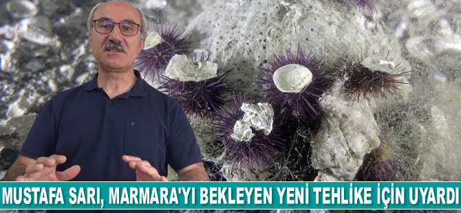 Mustafa Sarı, Marmara Denizi'ni bekleyen yeni tehlike için uyardı