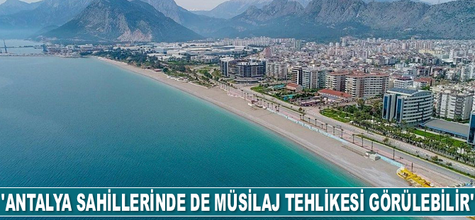 Ali Çeltik: Antalya sahillerinde de müsilaj tehlikesi yaşanabilir