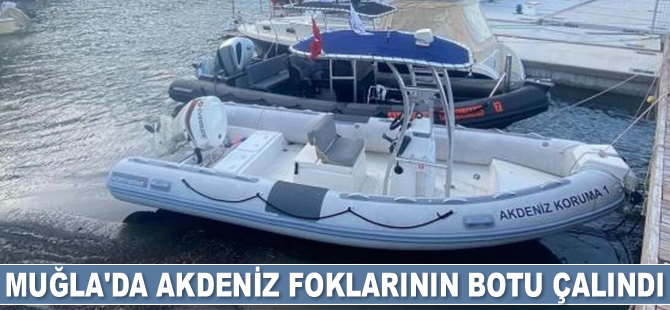 Muğla'da Akdeniz foklarının botu çalındı