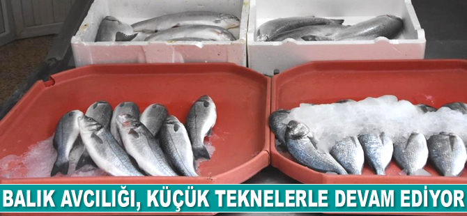 Karadeniz’de balık avcılığı, küçük teknelerle devam ediyor