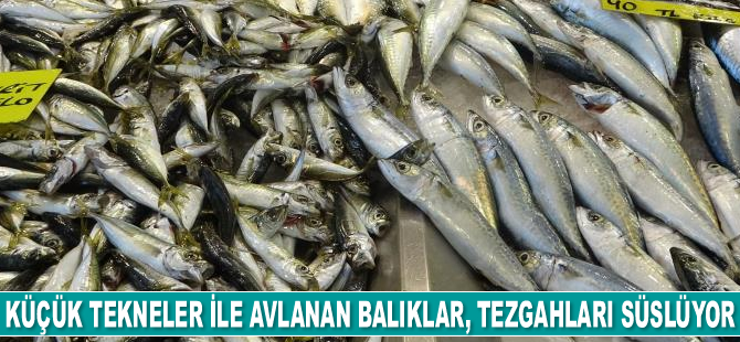 Küçük tekneler ile avlanan balıklar tezgahları süslüyor