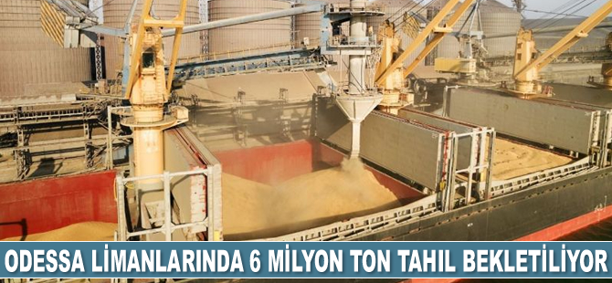 Odessa limanlarında 6 milyon ton tahıl bekletiliyor