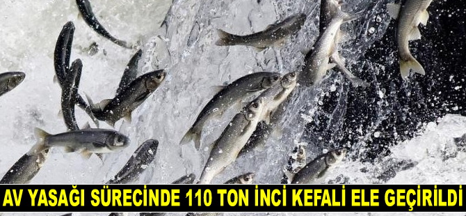 Van’da av yasağı sürecinde 110 ton inci kefali ele geçirildi