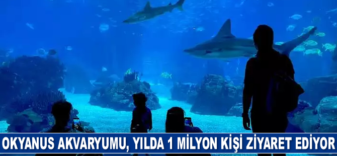 Okyanus Akvaryumu, yılda 1 milyon kişi ziyaret ediyor