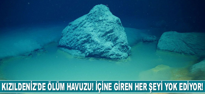 Kızıldeniz'de ‘ölü havuzu’ keşfedildi