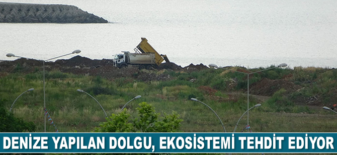 Denize yapılan dolgu, kirlilik ve aşırı avlanma, ekosistemi tehdit ediyor