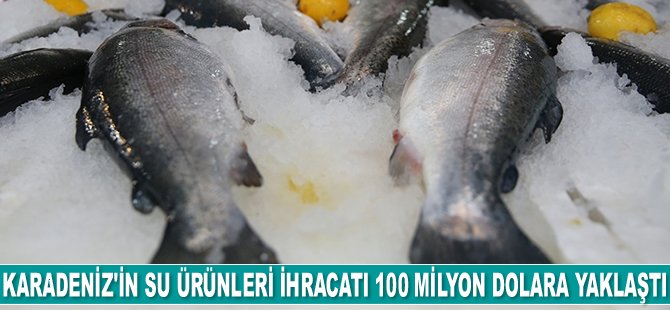 Karadeniz'in su ürünleri ihracatı yılın ilk yarısında 100 milyon dolara yaklaştı