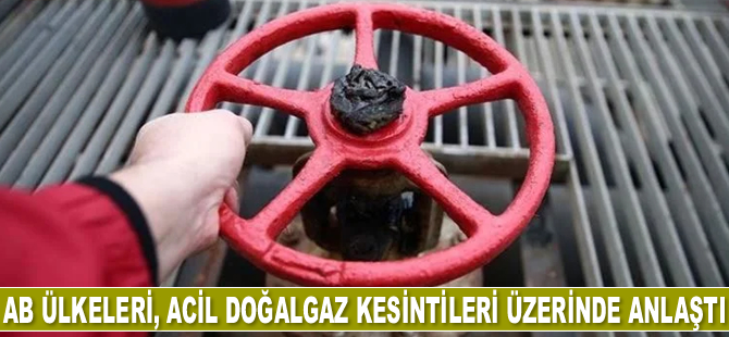 AB ülkeleri, acil doğalgaz kesintileri üzerinde anlaştı