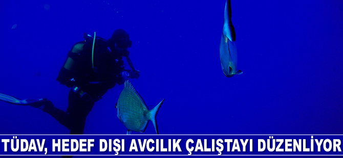 TÜDAV, hedef dışı avcılık çalıştayı düzenliyor