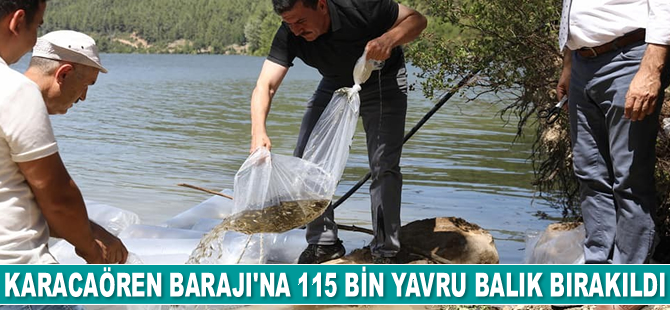 Burdur'da baraj ve göletlere 613 bin 200 yavru sazan balığı bırakılacak