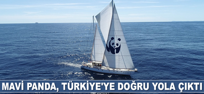 Mavi Panda, Türkiye’ye doğru yola çıktı