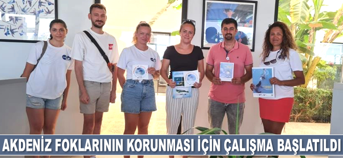 Datça'da Akdeniz foklarının korunması için çalışma başlatıldı