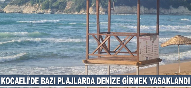 Kocaeli'de bazı plajlarda denize girmek yasaklandı