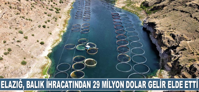 Elazığ, balık ihracatından 29 milyon dolar gelir elde etti